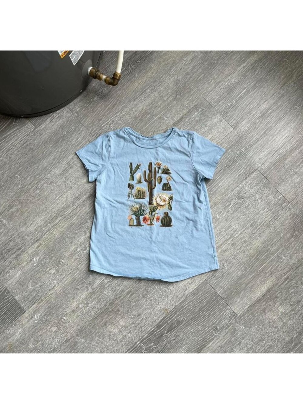 Blue / Green / Multi Graphic Cactus Baby Tee / T-Shirt